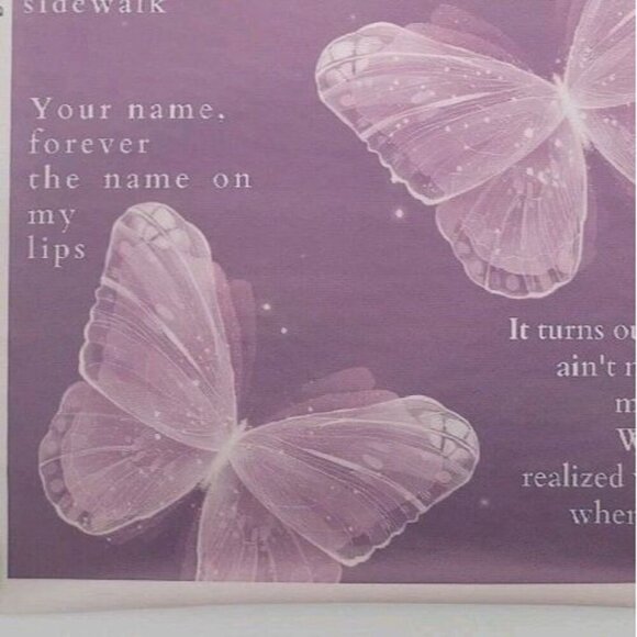 Taylor Swift 24 X 16 Soft Canvas Poster Speak Now Lyrics Purple Rolled Large - Picture 5 of 7